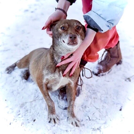 Стич благодарит вас за внимание! 