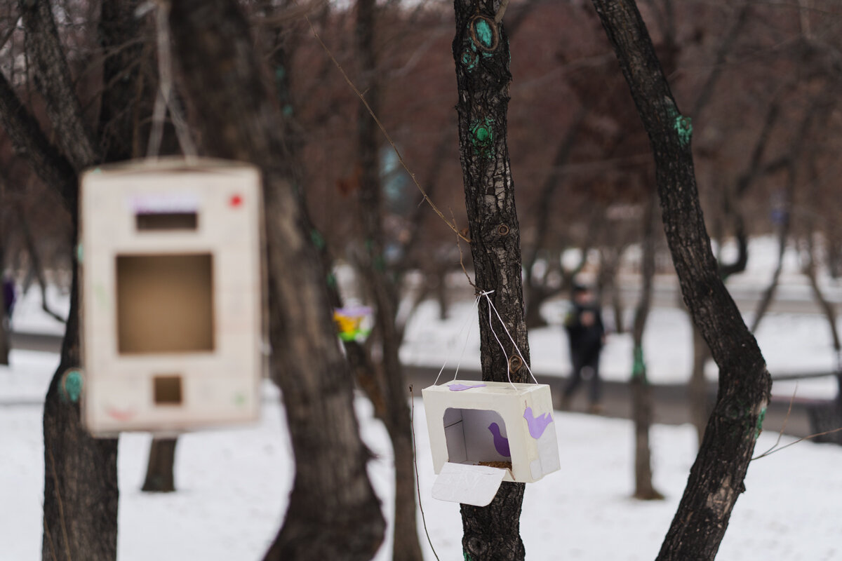 Фото: Алена Шатуева / «ВЕРБЛЮД В ОГНЕ»