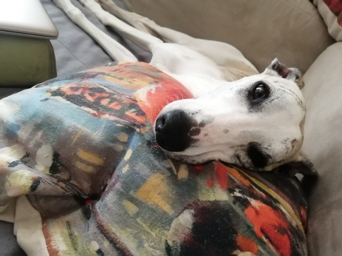 "Считывает" нас)