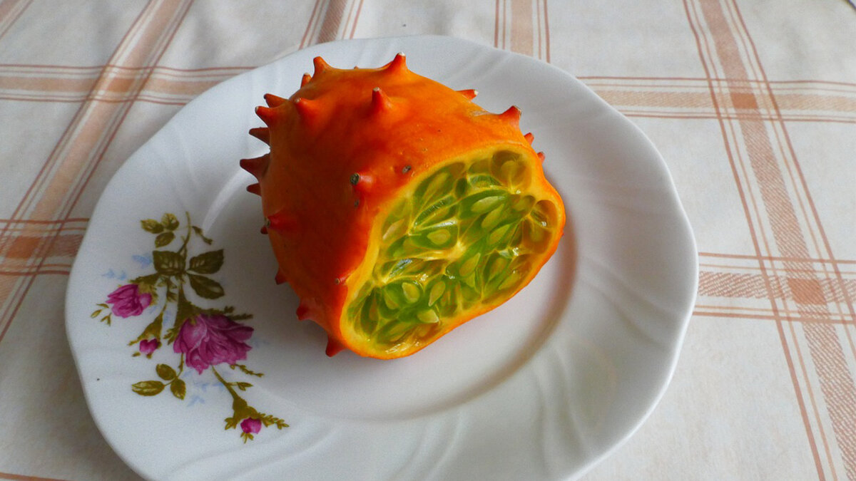 Кивано в разрезе