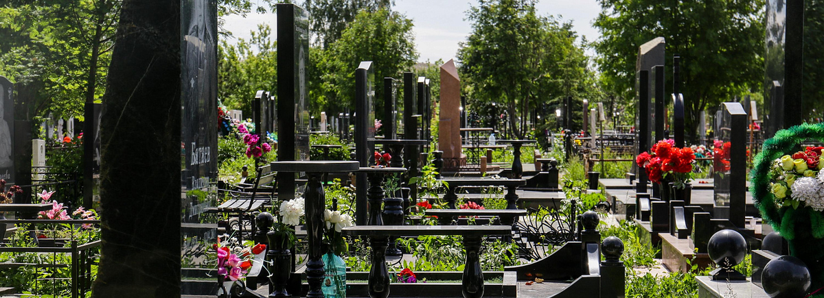 Фото: nsknews.info