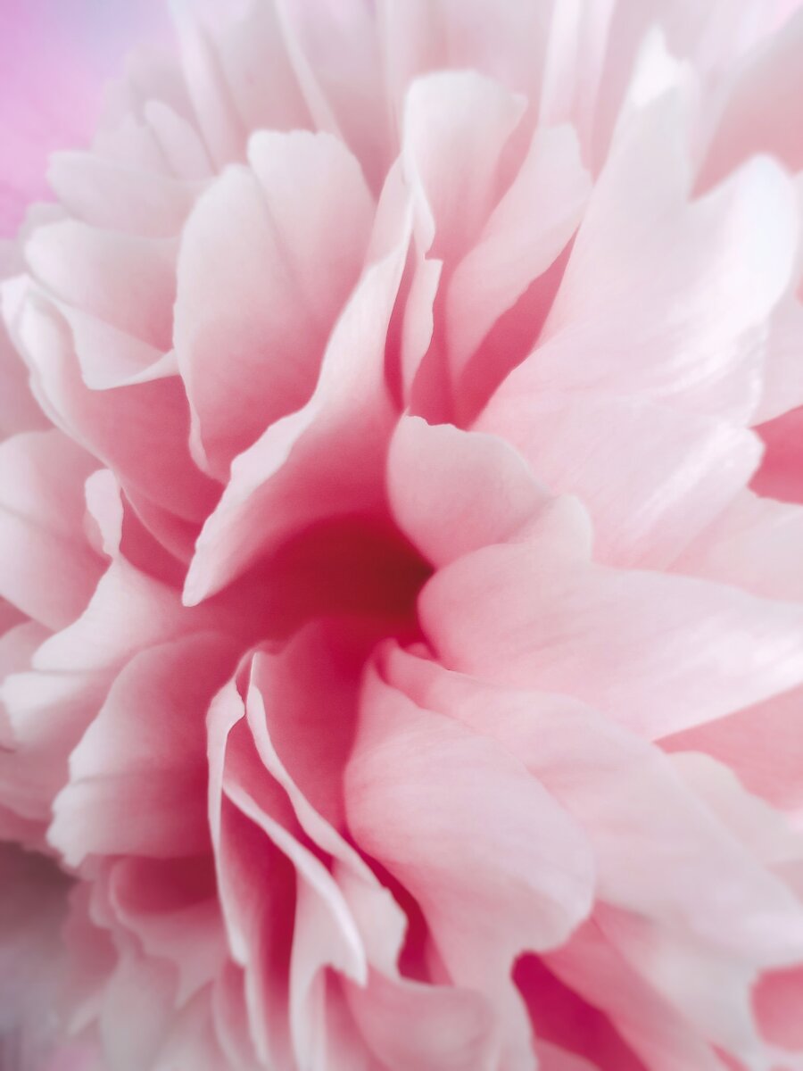Фото: unsplash.com