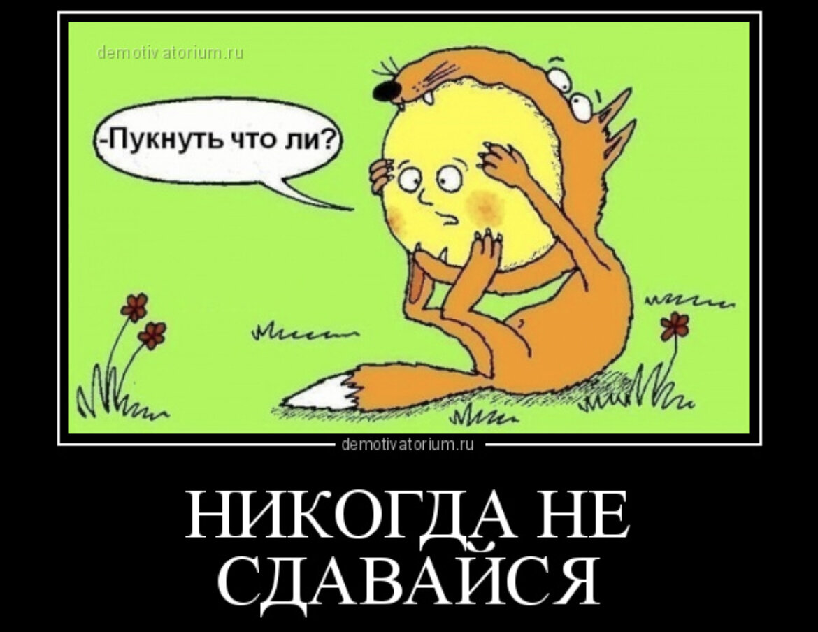 Мы не сдаемся картинки