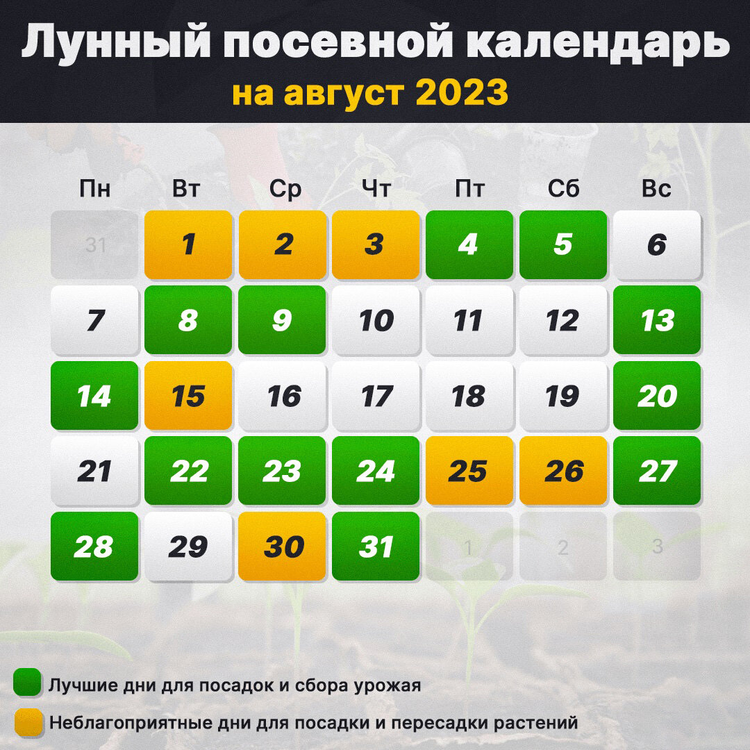 Лунный календарь стрижек август миркосмоса ру
