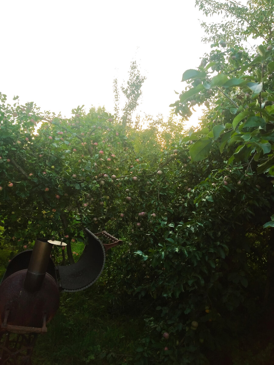 Мангал самодельный на фоне яблок 😉