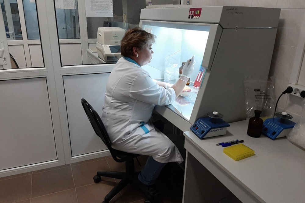 Фото предоставлено пресс-службой НИУ «БелГУ»