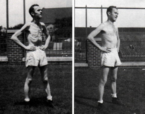 после эксперимента участники набрали вес, но либидо не вернулось...