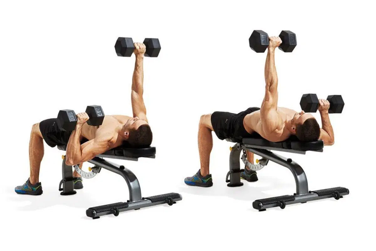 Fly Dumbbell Incline Bench