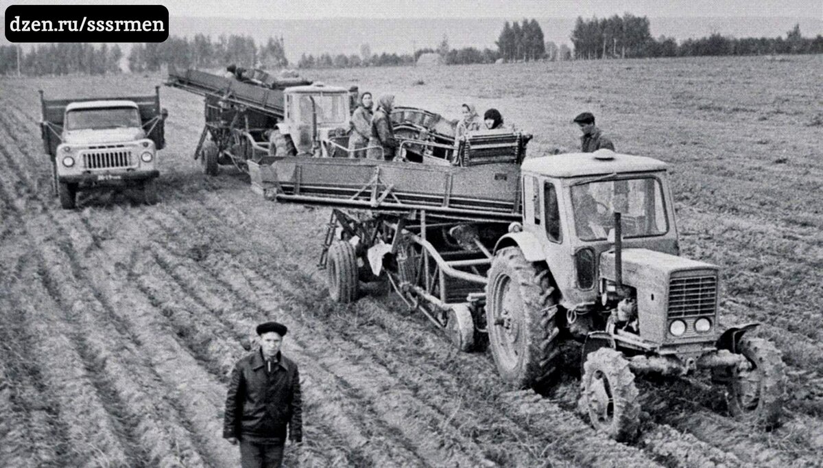 Колхозные работы в СССР