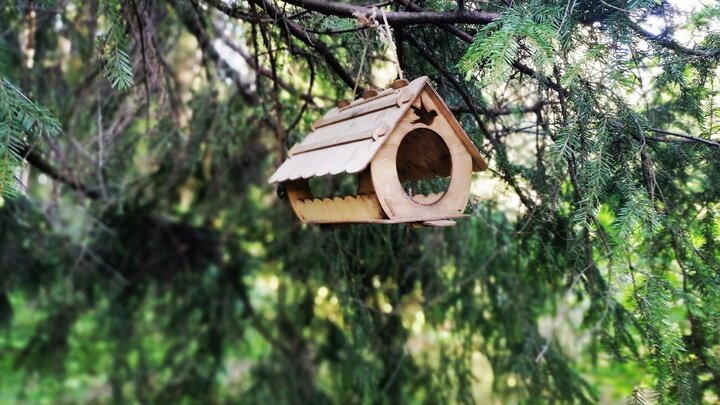 ФОТО: КСЕНИЯ ДУДАРЕВА/ЦАРЬГРАД