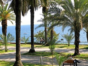 По состоянию на середину августа 2017 г. на главном турецком курорте отдохнули более 6 млн туристов, что уже превысило итоговые показатели прошлого года. Годом ранее к августу турпоток составлял лишь 3,38 млн человек. Об этом сообщает Ассоциация туроператоров РФ.