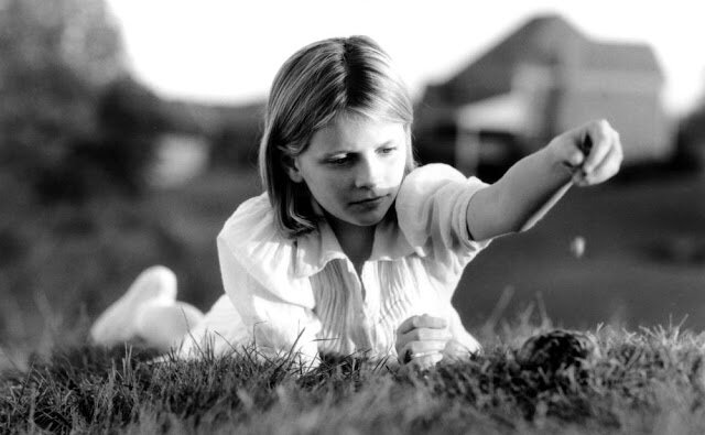 Луговые собачки