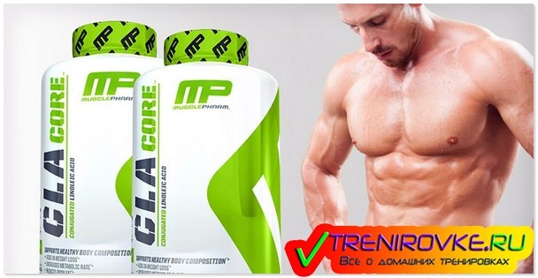 Аминокислота глютамин и ее функции