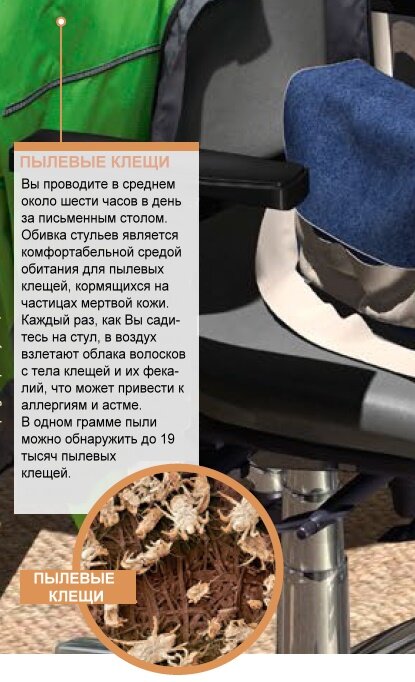 Офисный воздух также изобилует бактериями - приблизительно 10 миллионов за кубический метр. Кондиционирующие башни обеспечивают оптимальные температурные и влажностные условия. Инфицированные бактериями водные капельки могут распространить микробы по всему зданию. Даже почва Вашего комнатного растения в горшке может содержать плесень,  которая производит споры, что в свою очередь может привести к подавлению иммунной системы и даже к заболеванию легких.