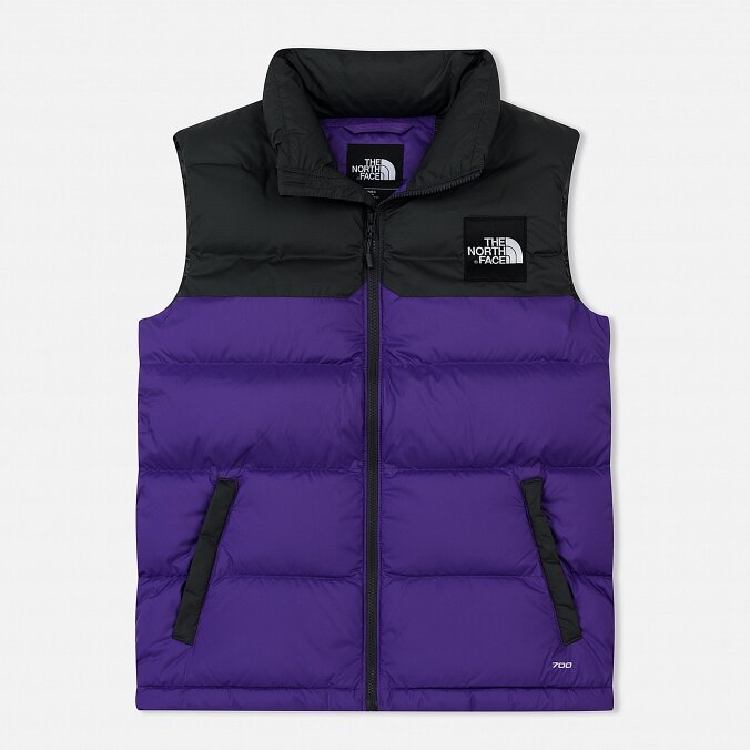 North face deals 1992 nuptse purple