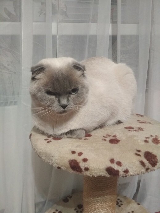 Серьёзная дама с серьёзными намерениями.