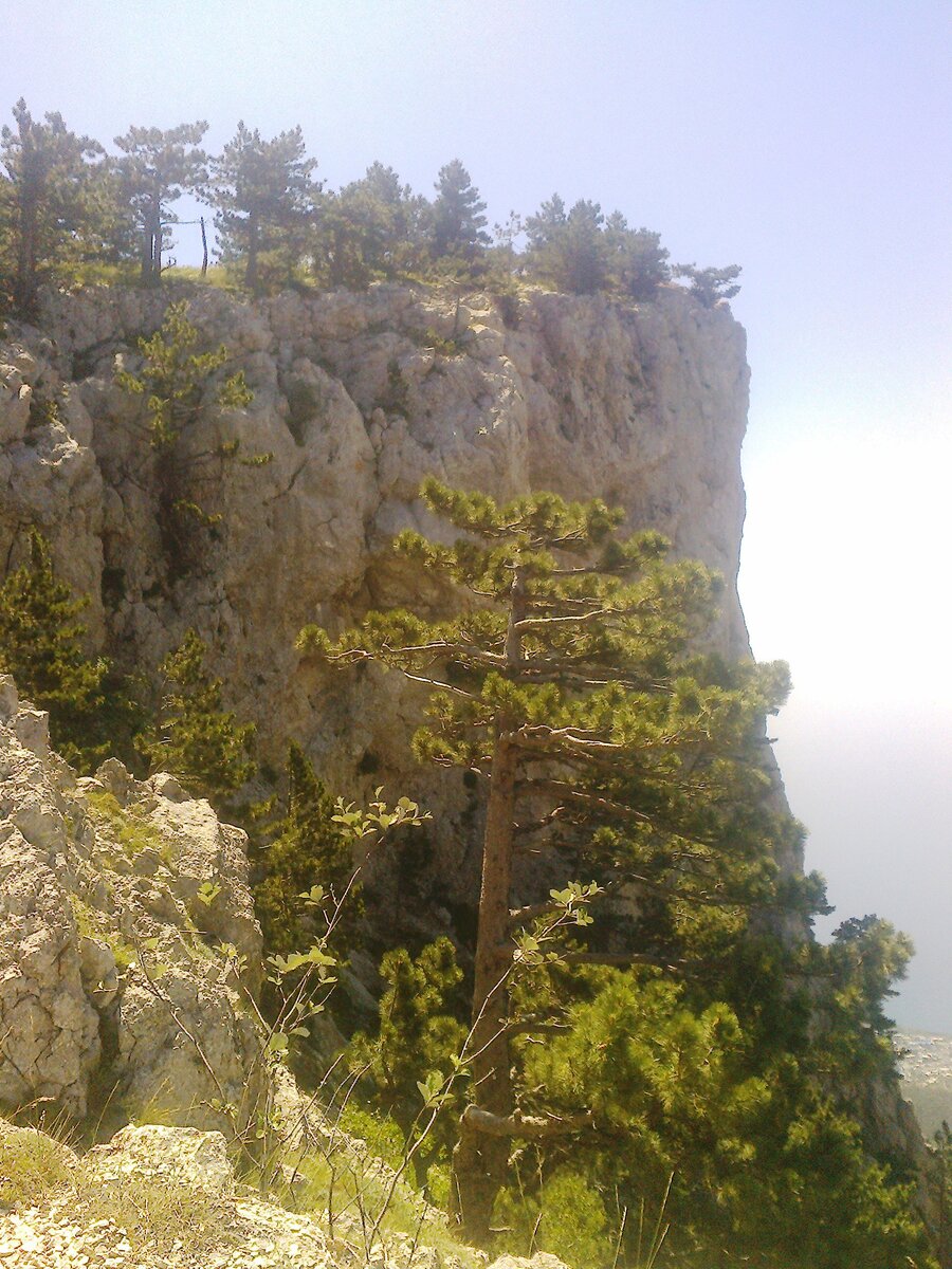 Плато горы ай Петри летом