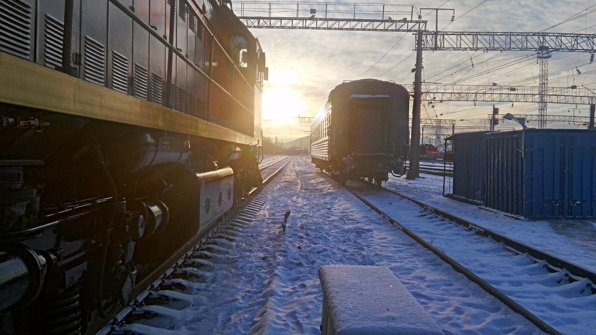 Вот так они и были раскиданы по парку