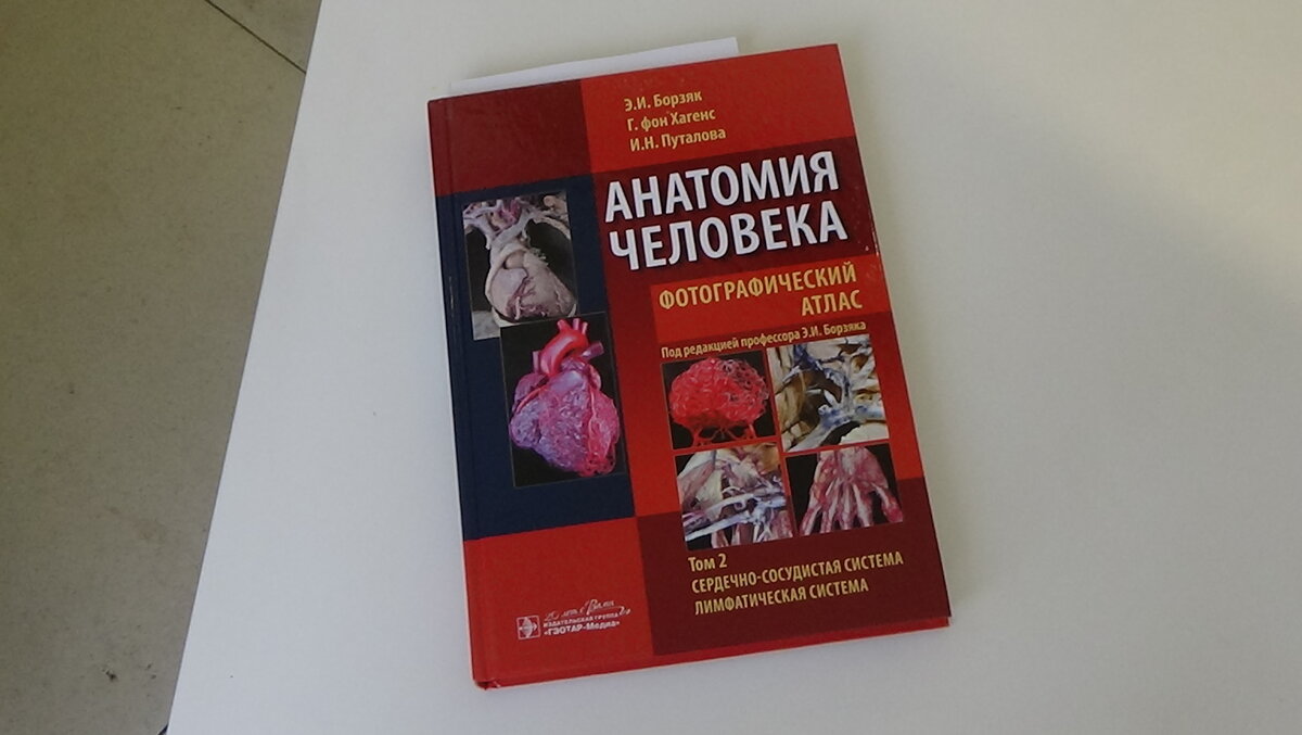фотографический атлас по анатомии