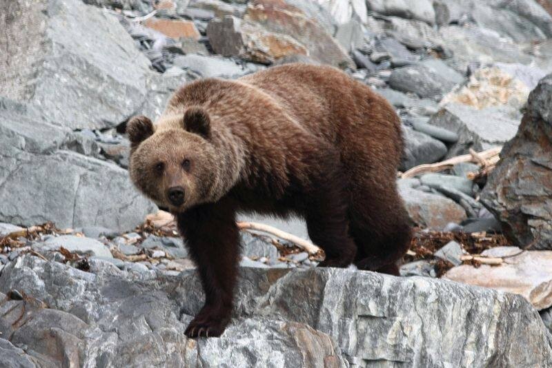  Владимир Похилюк