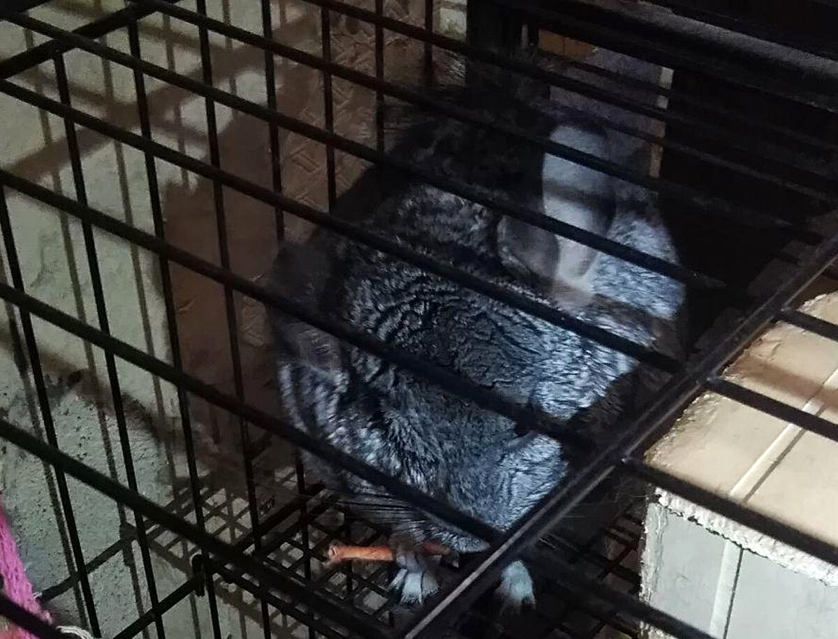 От сухарика-то отказалась, а морковочку взяла. Надеюсь, помиримся.