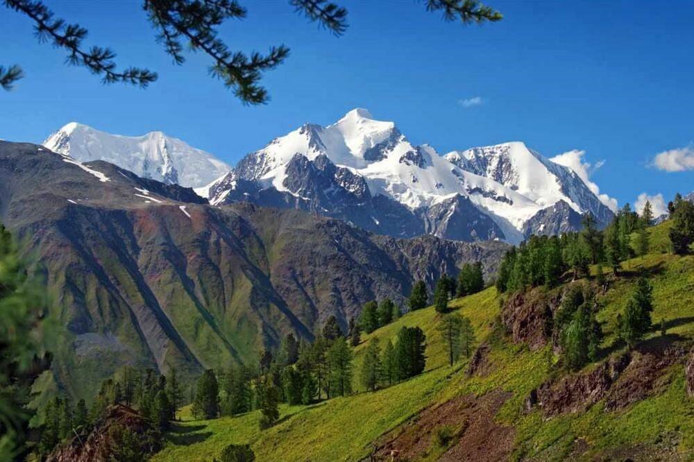 Включи гори. Белуха горный Алтай. Горно Алтайск гора Белуха. Горы России Алтай Белуха. Трехглавая гора Белуха.