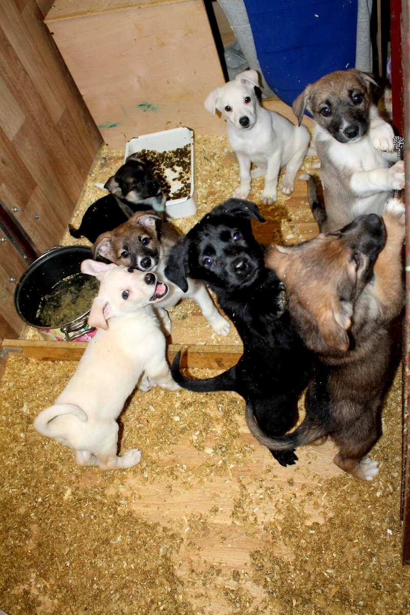 Фотографии предоставлены интернет-магазином Solntse