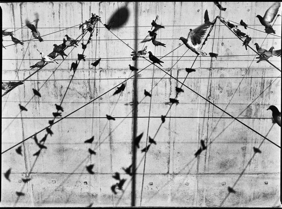 Alessandro Zunino. Открытый конкурс. 2019 Sony World Photography Awards