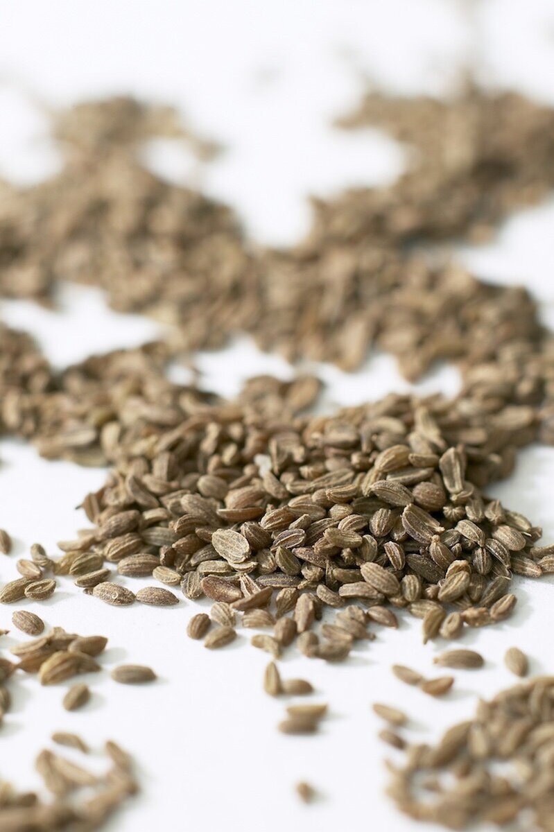 Тмин.
При бронхите и воспалении легких принимайте 0,5 ч. ложки семян в день.