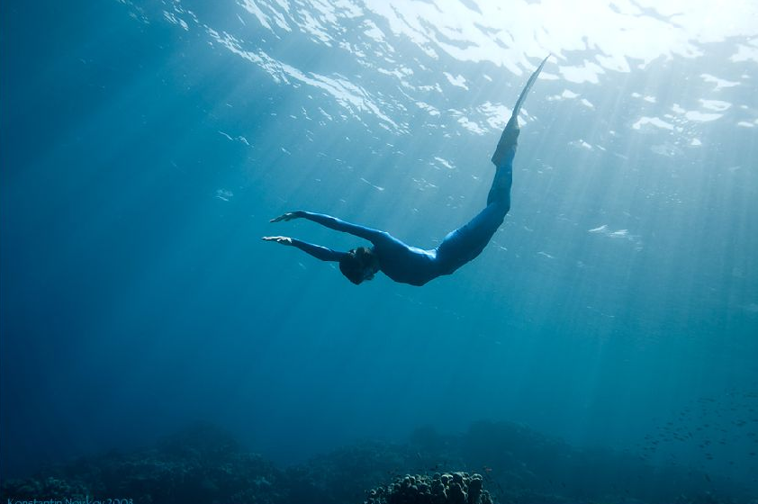 Подводное плавание в море