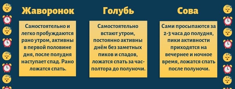 Хронотипы людей: жаворонки, голуби и совы. Фото: Нонтон.