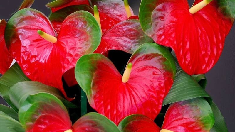 Фото с сайта: https://www.youtube.com