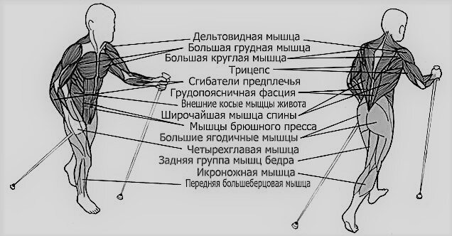 Фото по запросу Большие ягодицы - страница 2