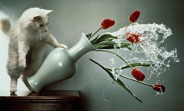 Фото gettyimages.com