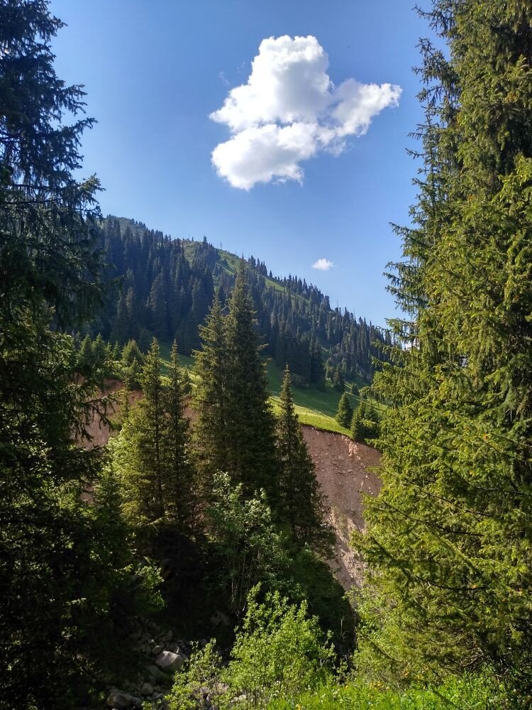 Урочище Медео