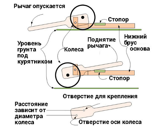 Курятник своими руками