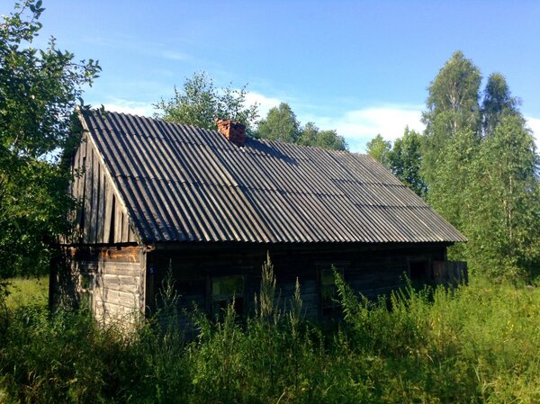 Новый Майдан, Беларусская Зона ЧАЭС — путешествие в заброшенное село