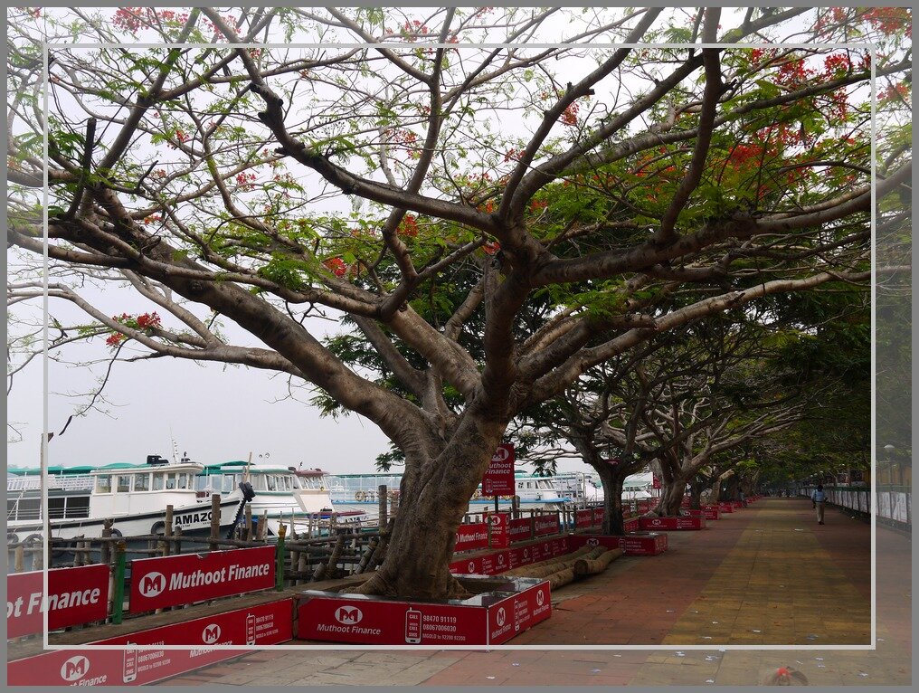 набережная Кочи