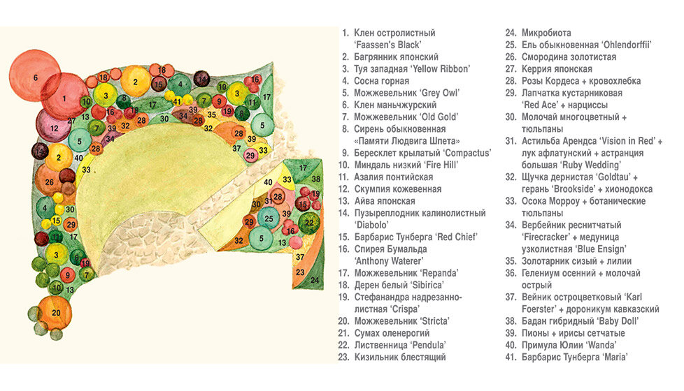 Схема миксбордера