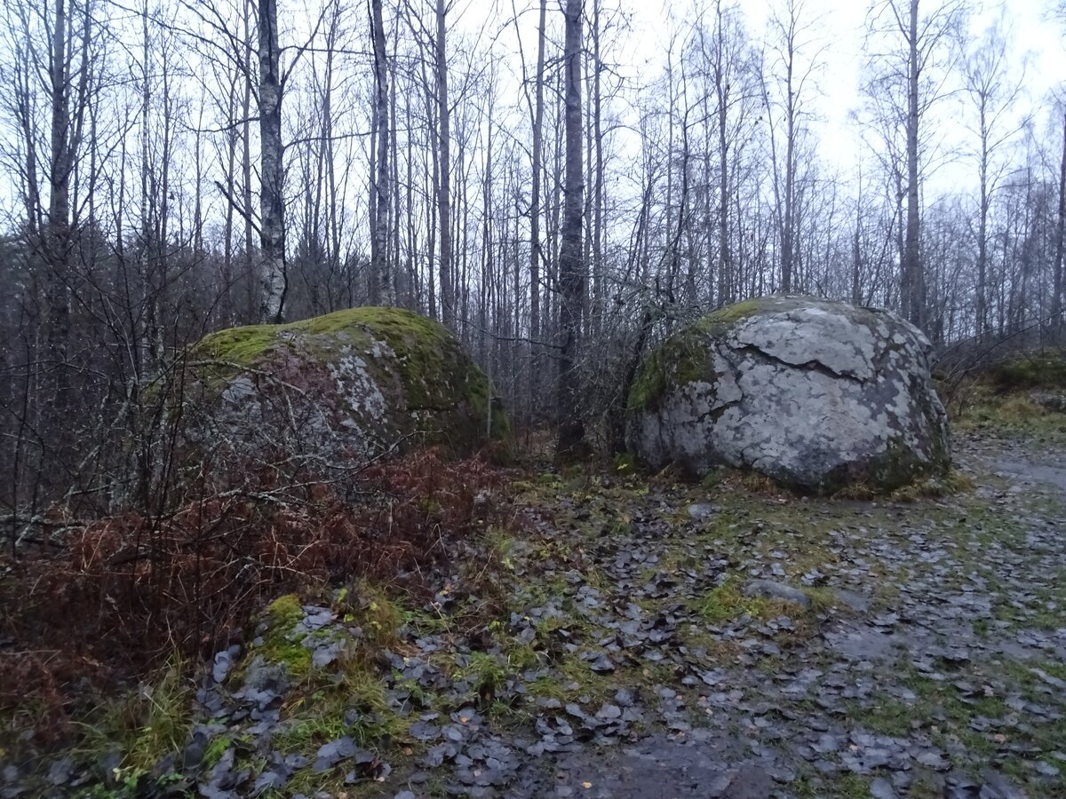 Жертвенные камни на Тиверском городище. Фото: Владимир Сергеев