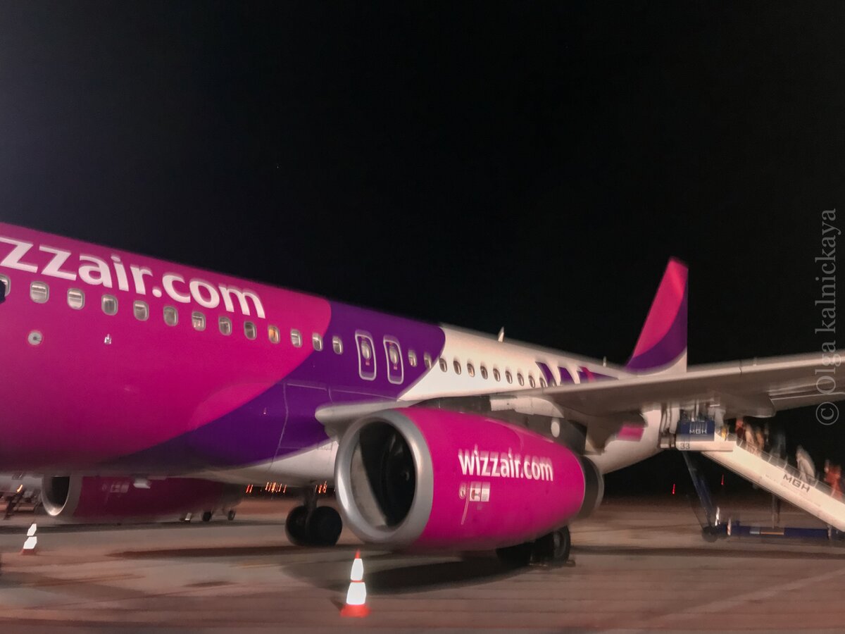 Самолёты авиакомпании легко различить по цвету. 