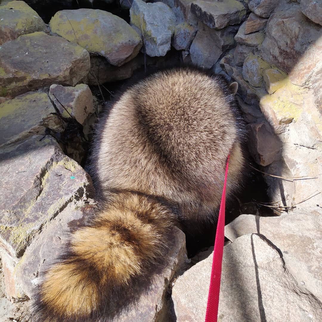 Можно подумать, что там клад спрятан...