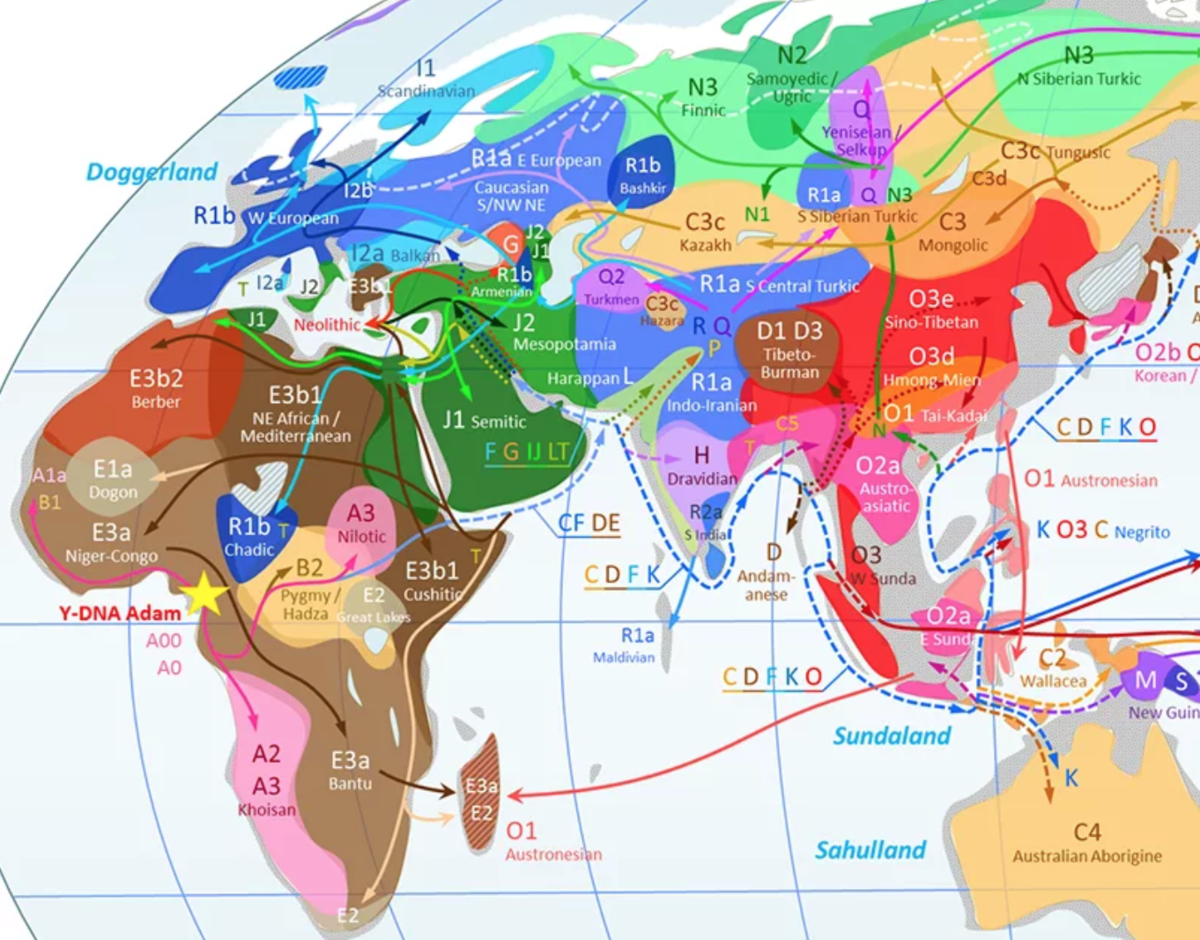 Днк генеалогия. Гаплогруппа Клесов. Гаплогруппы народов мира карта. Карта миграции гаплогруппы r1a. Генетическая карта мира гаплогруппы.
