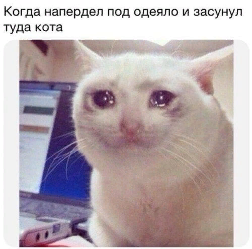 Здесь вы найдете ржачные картинки, смешные буквально до слез. Прикольные картинки заствят вас ржать, как конь. 