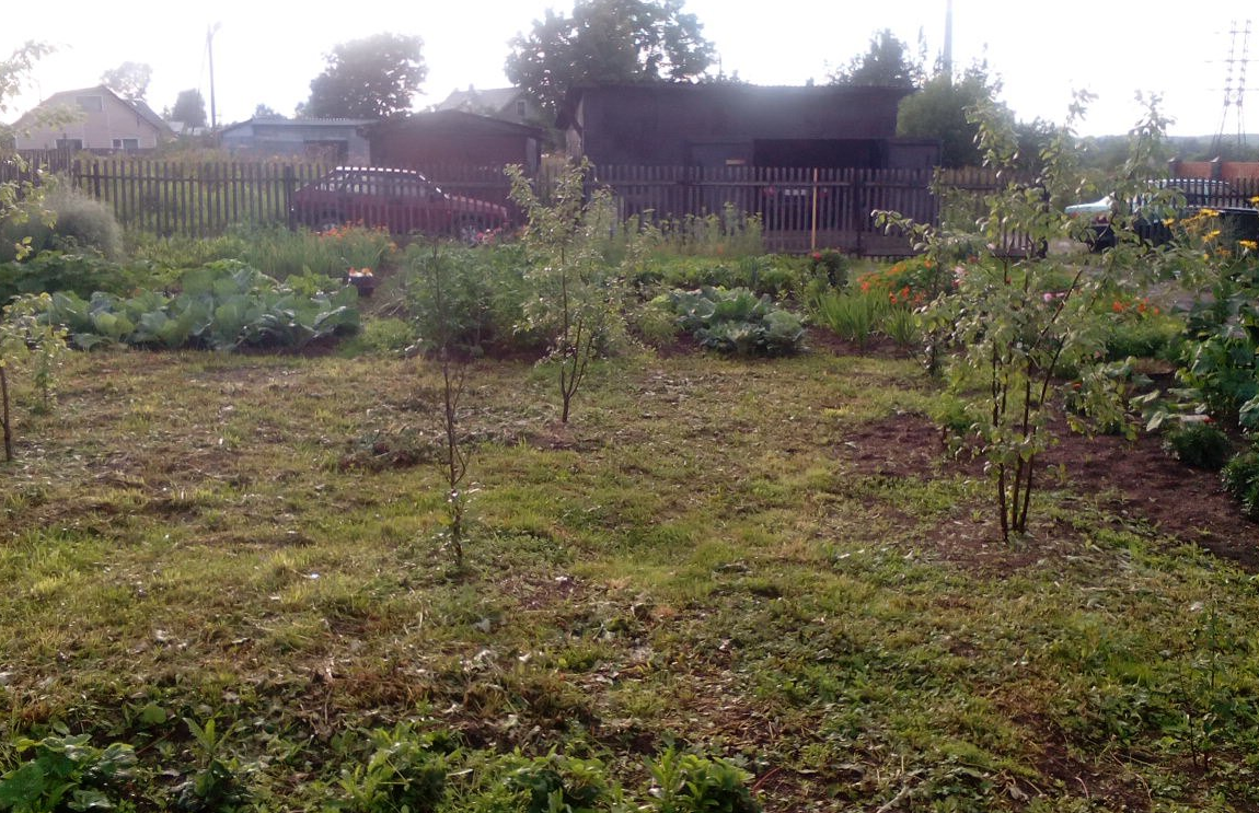 Фотография моего участка