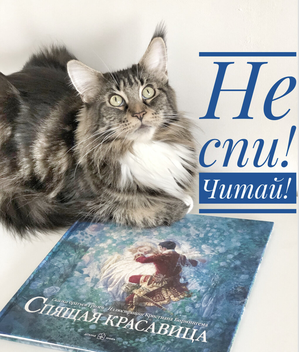 Лукас приветствует всех, поздравляет книголюбов, приглашает полистать роскошную книгу. 