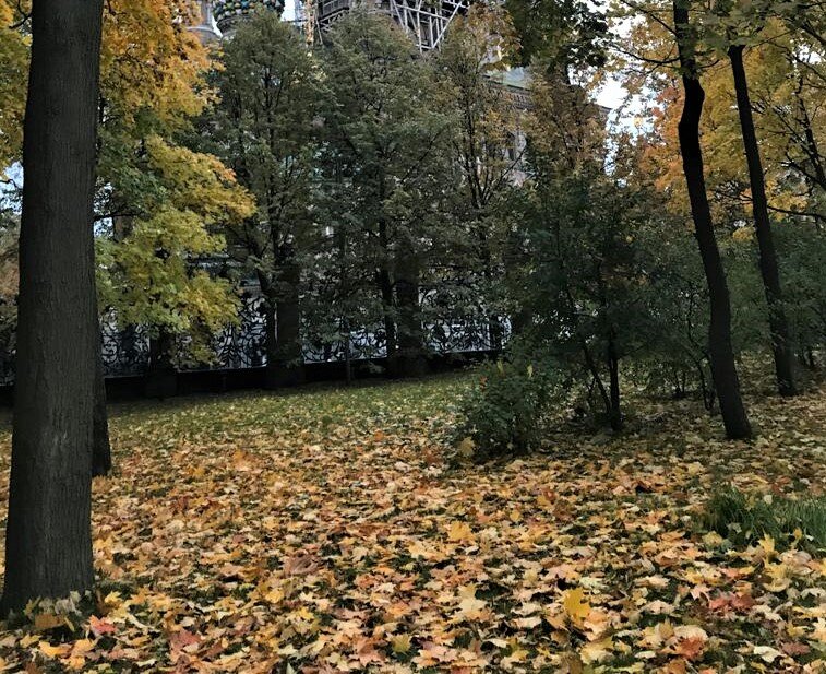 Осень. Фото Е. Островской.