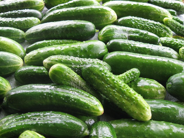 Какие продукты любят почки, то что мне посоветовал есть диетолог7