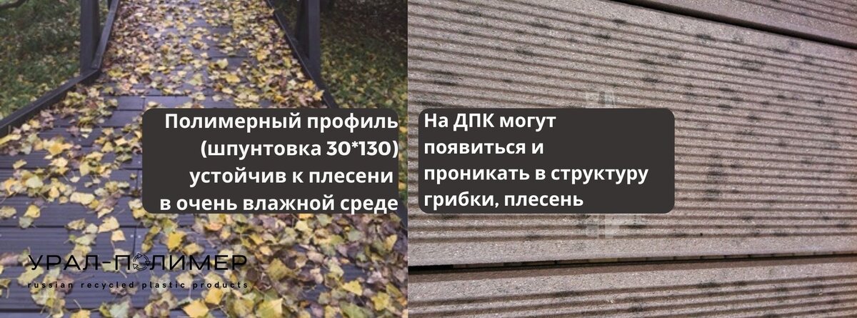 Устойчивость к плесени ДПК и полимерного профиля УРАЛ-ПОЛИМЕР