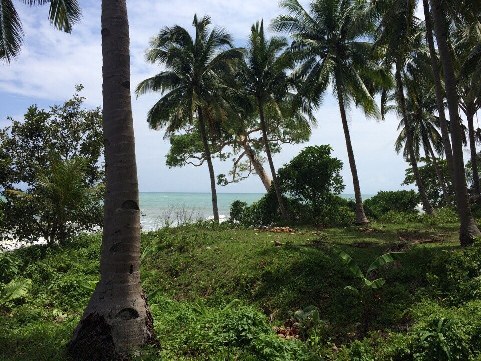 Дикий пляж на острове Негрос.